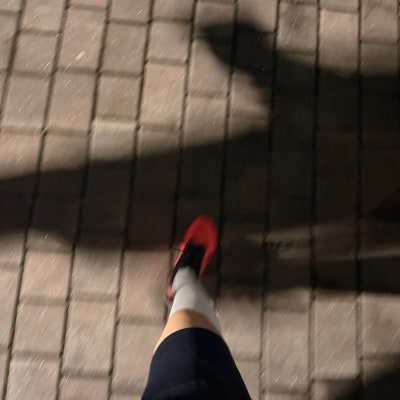 나이키 페가수스 42 러닝화, 평발 착용 후기 — 사진 2