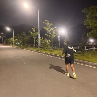나이키 페가수스 42 러닝화, 평발 착용 후기 — 사진 4