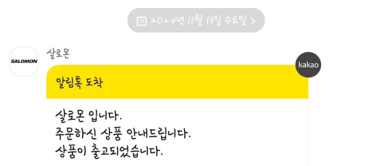 살로몬 TX-4 실버 운동화, 어깨 넓은 사람도 편하게 신어요 — 사진 2