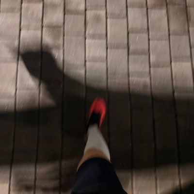 나이키 페가수스 42 러닝화, 평발 착용 후기 — 사진 3