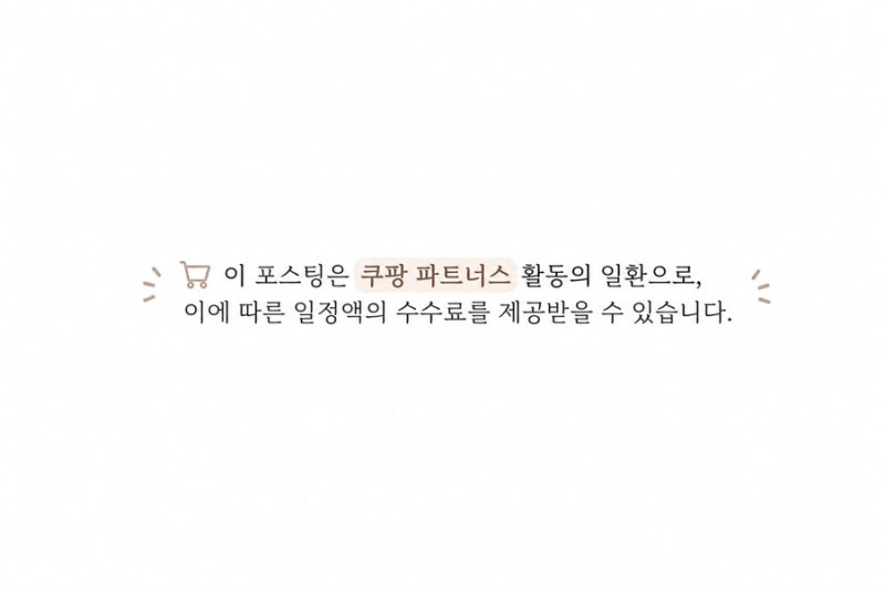 뉴발란스 브리즈 메리제인 실버 샌들, 발볼 넓은 편 착화 후기
