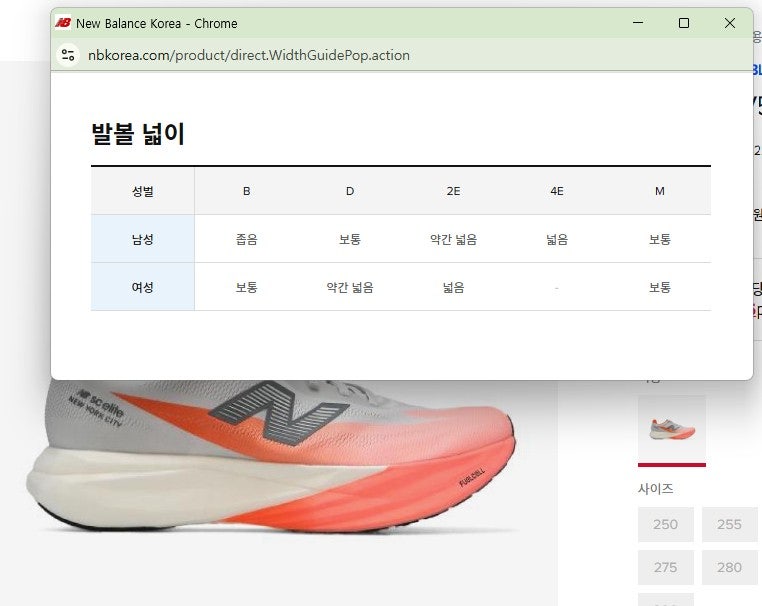 뉴발란스 SC 엘리트 V5 러닝화, 평발 위한 안정성 후기 — 사진 7