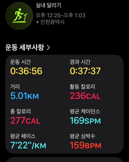 나이키 프로미나 러닝화, 평발에 가성비 좋은 선택 후기 — 사진 3