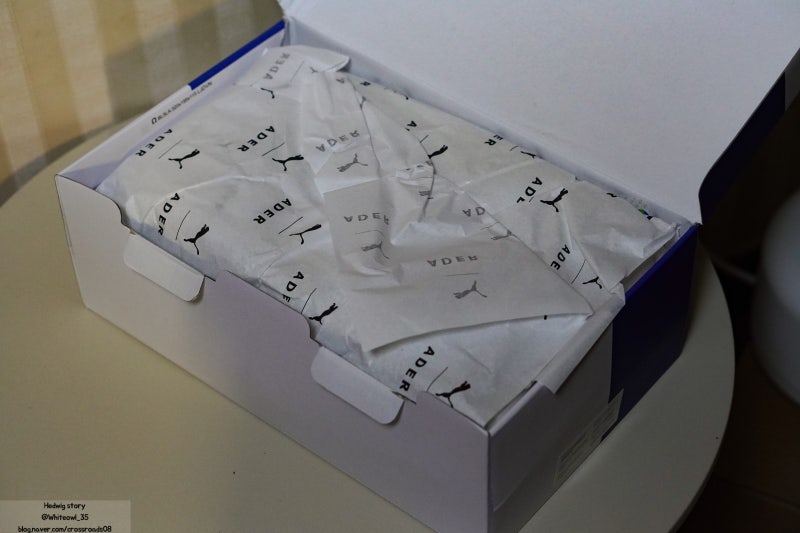 아더에러 x 푸마 로마 스니커즈, 발볼 넓은 사람도 편하게 신는 법 — 사진 5